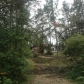 51550 Wildwood Rd, Cass Lake, MN 56633 ID:163432