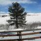 1786 Redhill Rd, Fairplay, CO 80440 ID:169902