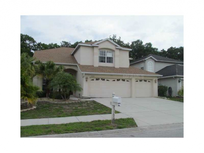 23901 Hastings Way, Land O Lakes, FL 34639