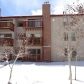 1901 Clear Creek Dr #102C, Georgetown, CO 80444 ID:217530