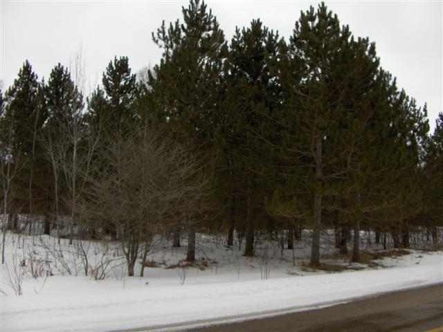 0 Trails End & Nokomis St, Mackinaw City, MI 49701