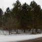 0 Trails End & Nokomis St, Mackinaw City, MI 49701 ID:29156