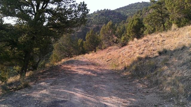 Lot 16 Silver Oak Dr, Glenwood Springs, CO 81601