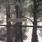 31421 Apn, Big Bear City, CA 92314 ID:96998