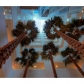 3131 NE 188 ST # 1-1004, Miami, FL 33180 ID:242776