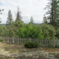 50440 Spook Ln, Oakhurst, CA 93644 ID:258566