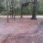 7368 Huckleberry Ln, Spanish Fort, AL 36527 ID:195873