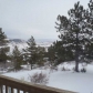 13328 Otter Rd, Loveland, CO 80538 ID:238486