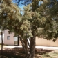 480 N 6th Drive, Show Low, AZ 85901 ID:74470