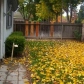 2228 Meadow Lake Dr, Stockton, CA 95207 ID:85262