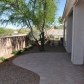 5378 W Desert Flora Place, Marana, AZ 85658 ID:123066