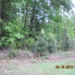 Lot 6 Riverwood Estate (Apn# R02330, Theodore, AL 36582 ID:169727