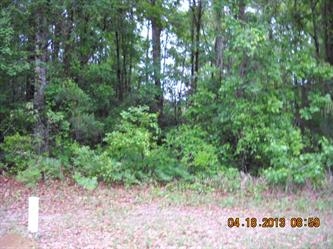 Lot 6 Riverwood Estate (Apn# R02330, Theodore, AL 36582