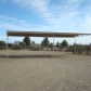 3110 W Dirt Road, Willcox, AZ 85643 ID:215264