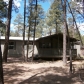 1404 Ox Bow Drive, Lakeside, AZ 85929 ID:215908