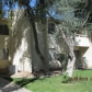 8055 E Thomas Rd Unit G101, Scottsdale, AZ 85251 ID:114450