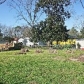 5828 Court O, Birmingham, AL 35228 ID:41346