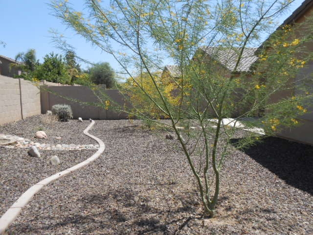 11738 W Daley Lane, Sun City, AZ 85373