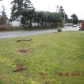 8824 8826 Custer Rd, Lakewood, WA 98499 ID:230501