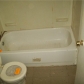 1637 Patterson St, Memphis, TN 38111 ID:276335