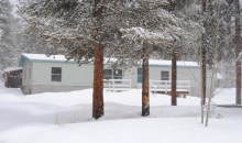 1860 Autumn Dr Leadville, CO 80461