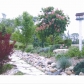 7453 LaPrairie Ln, Ann Arbor, MI 48103 ID:307040