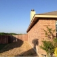 338 Laurel Ln, Rockwall, TX 75087 ID:230519