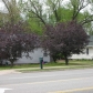 614 East Centre Ave., Portage, MI 49002 ID:29186