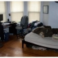 Ridgemont, Allston, MA 02134 ID:310456