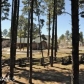 1185 W University Ave Bld 206, Flagstaff, AZ 86001 ID:316027