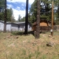 2618 Kachina Trail, Flagstaff, AZ 86001 ID:337906