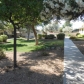 13430 W Bolero Drive, Sun City West, AZ 85375 ID:295284