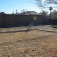 1309 E Brill St, Phoenix, AZ 85006 ID:102745