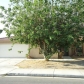 83-446 Mango Walk, Indio, CA 92201 ID:250373