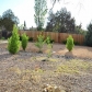 385 West Delano Avenue, Prescott, AZ 86301 ID:359736