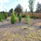 385 West Delano Avenue, Prescott, AZ 86301 ID:359739