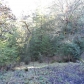 20368 Fort Ross Rd, Cazadero, CA 95421 ID:370236