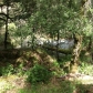 20368 Fort Ross Rd, Cazadero, CA 95421 ID:370238