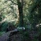 20368 Fort Ross Rd, Cazadero, CA 95421 ID:370239