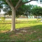 7399 FARRAGUT ST, Hollywood, FL 33024 ID:386106