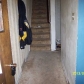 1019 Theona St, Pittsburgh, PA 15210 ID:384417