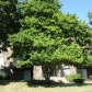 14011 Laramie Avenue Unit 309, Midlothian, IL 60445 ID:112539