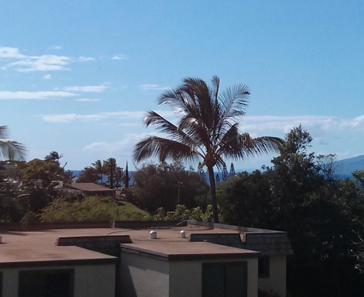 120 Hui Rd F B13, Lahaina, HI 96761