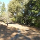 18537 El Capitan Way, Groveland, CA 95321 ID:131883