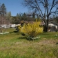 20994 Niagara River Dr, Sonora, CA 95370 ID:419931