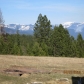 82 Patches Ln, Saint Maries, ID 83861 ID:177220