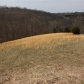 3855 Heekin Lawrenceville Rd, Williamstown, KY 41097 ID:264706