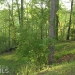 4341 Woodglenn Dr, Gainesville, GA 30507 ID:193775