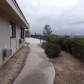 11650 Richardson St, Loma Linda, CA 92354 ID:420624