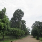 207 Hightower St, Sardis, MS 38666 ID:406909